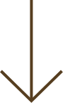 sec04-arrow